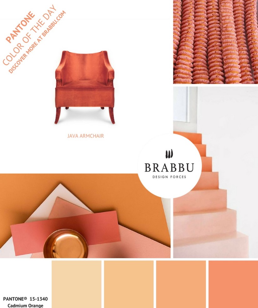 2019 Color Trends That You Need to Get to Know Before The Year Ends, color trends, pantone, pantone 2019, brabbu, maison valentina, Colors for 2019