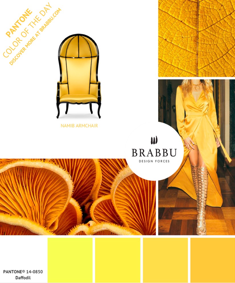 2019 Color Trends That You Need to Get to Know Before The Year Ends, color trends, pantone, pantone 2019, brabbu, maison valentina, Colors for 2019